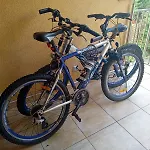 Pinea15 Apartmán