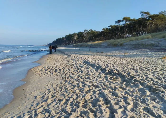 Pinea15 * Mielno (Koszalin)